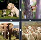 4 Pics 1 Word answers and cheats level 344