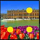 100 Pics answers and cheats level 51-100