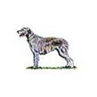 100 Pics answers and cheats level 1-50