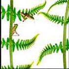 100 Pics answers and cheats level 51-100