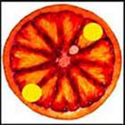 100 Pics answers and cheats level 1-50