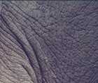 Zoomed In answers and cheats level 11-20