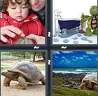 4 Pics 1 Word answers and cheats level 1177
