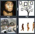 4 Pics 1 Word answers and cheats level 2329