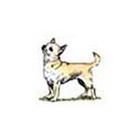 100 Pics answers and cheats level 1-50