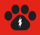 Icon Pop Quiz answers TV and Film pack level 6