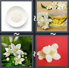 4 Pics 1 Word answers and cheats level 2173