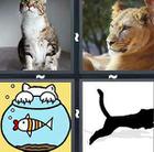 4 Pics 1 Word answers and cheats level 698