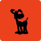Shadow Quiz answers and cheats level 243