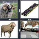 4 Pics 1 Word answers and cheats level 2743