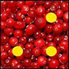 100 Pics answers and cheats level 1-50