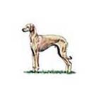 100 Pics answers and cheats level 51-100
