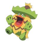 Poke Icon answers and cheats level 21-30