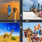 4 Pics 1 Word answers and cheats level 1373