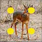100 Pics answers and cheats level 51-100