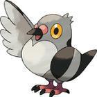 iGuess for Pokemon answers and cheats level 130