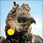 100 Pics answers and cheats level 51-100