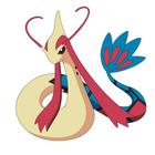Poke Icon answers and cheats level 11-20