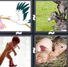 4 Pics 1 Word answers and cheats level 1574