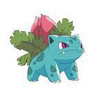 iGuess for Pokemon answers and cheats level 78