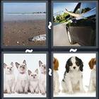 4 Pics 1 Word answers and cheats level 3074