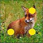 100 Pics answers and cheats level 1-50
