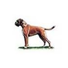 100 Pics answers and cheats level 1-50