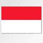 100 Pics answers and cheats level 51-100