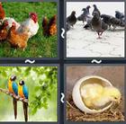 4 Pics 1 Word answers and cheats level 2920