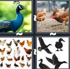 4 Pics 1 Word answers and cheats level 1455