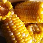 Close Up Food answers and cheats level 6-3