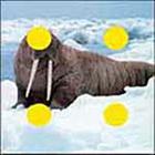 100 Pics answers and cheats level 51-100