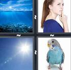 4 Pics 1 Word answers and cheats level 13