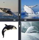 4 Pics 1 Word answers and cheats level 1375