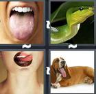 4 Pics 1 Word answers and cheats level 1388