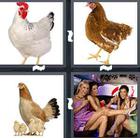 4 Pics 1 Word answers and cheats level 1404
