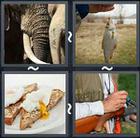 4 Pics 1 Word answers and cheats level 1737