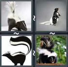 4 Pics 1 Word answers and cheats level 2046