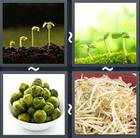4 Pics 1 Word answers and cheats level 2142