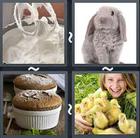 4 Pics 1 Word answers and cheats level 2196