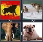 4 Pics 1 Word answers and cheats level 2223
