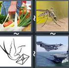 4 Pics 1 Word answers and cheats level 2736