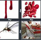 4 Pics 1 Word answers and cheats level 2801