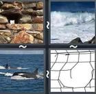 4 Pics 1 Word answers and cheats level 2848
