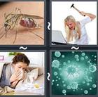 4 Pics 1 Word answers and cheats level 2929