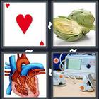 4 Pics 1 Word answers and cheats level 2982