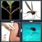 4 Pics 1 Word answers and cheats level 3110