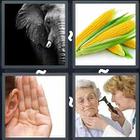 4 Pics 1 Word answers and cheats level 3183