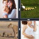4 Pics 1 Word answers and cheats level 325