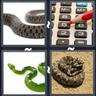 4 Pics 1 Word answers and cheats level 3346